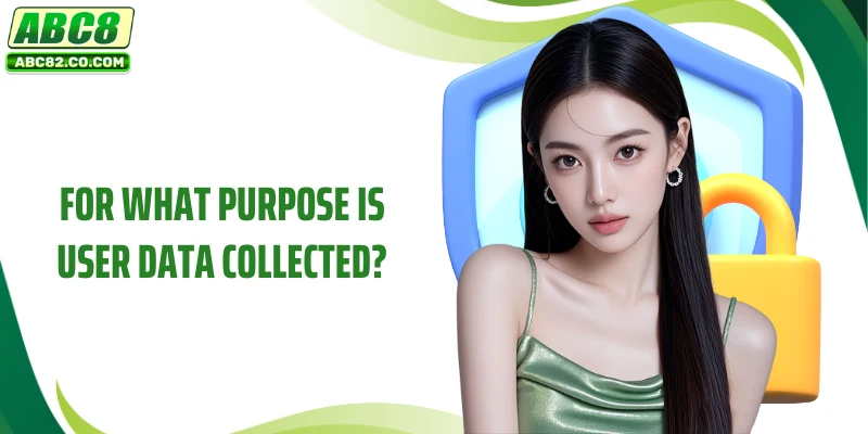 For what purpose is user data collected?
